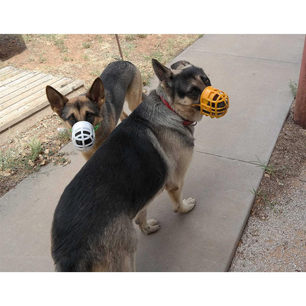 Plastic Dog Muzzle with Adjustable Headstall N508546