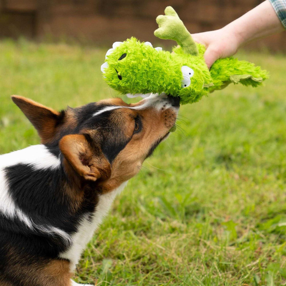 Dog Toy T454