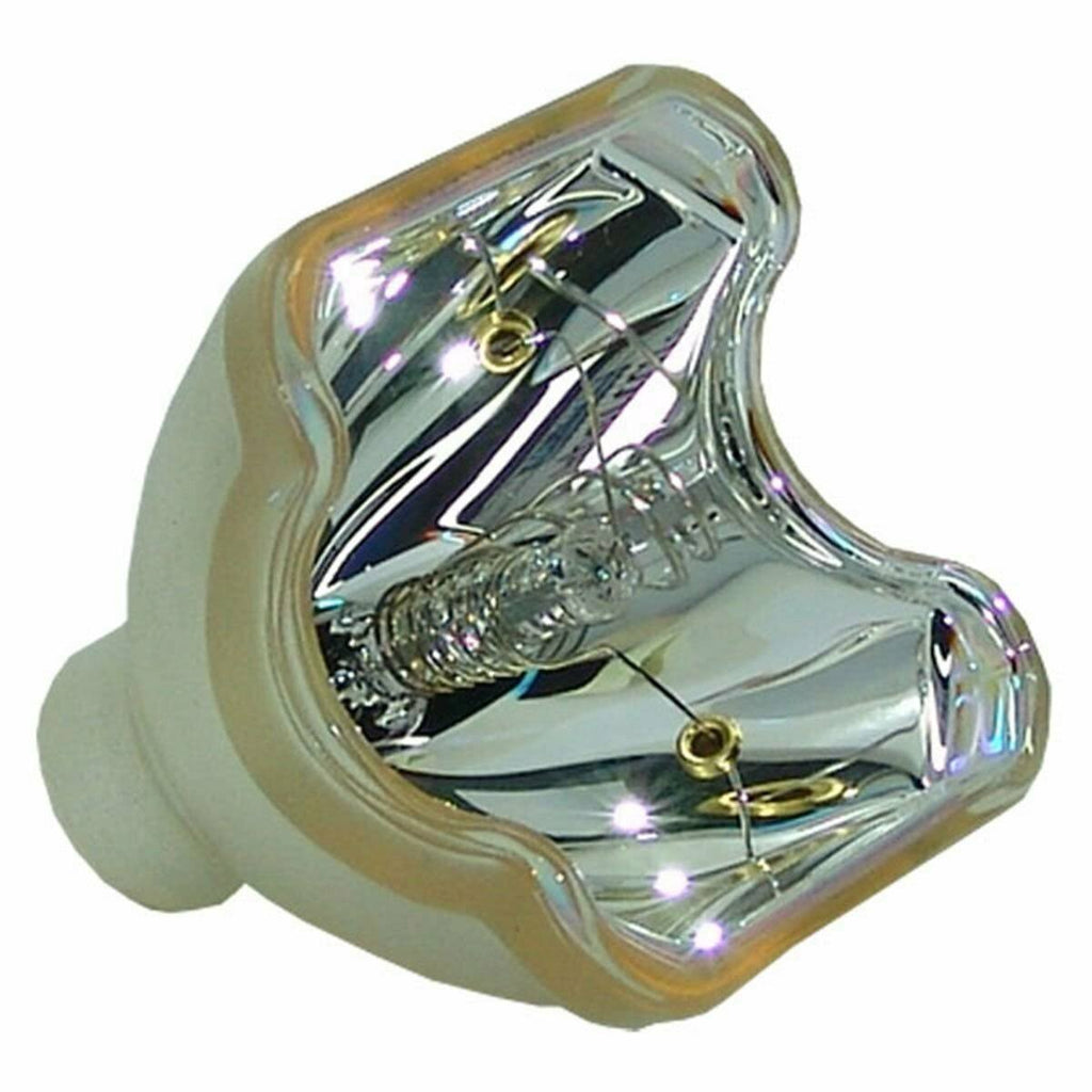Projector Bare Lamp T73642