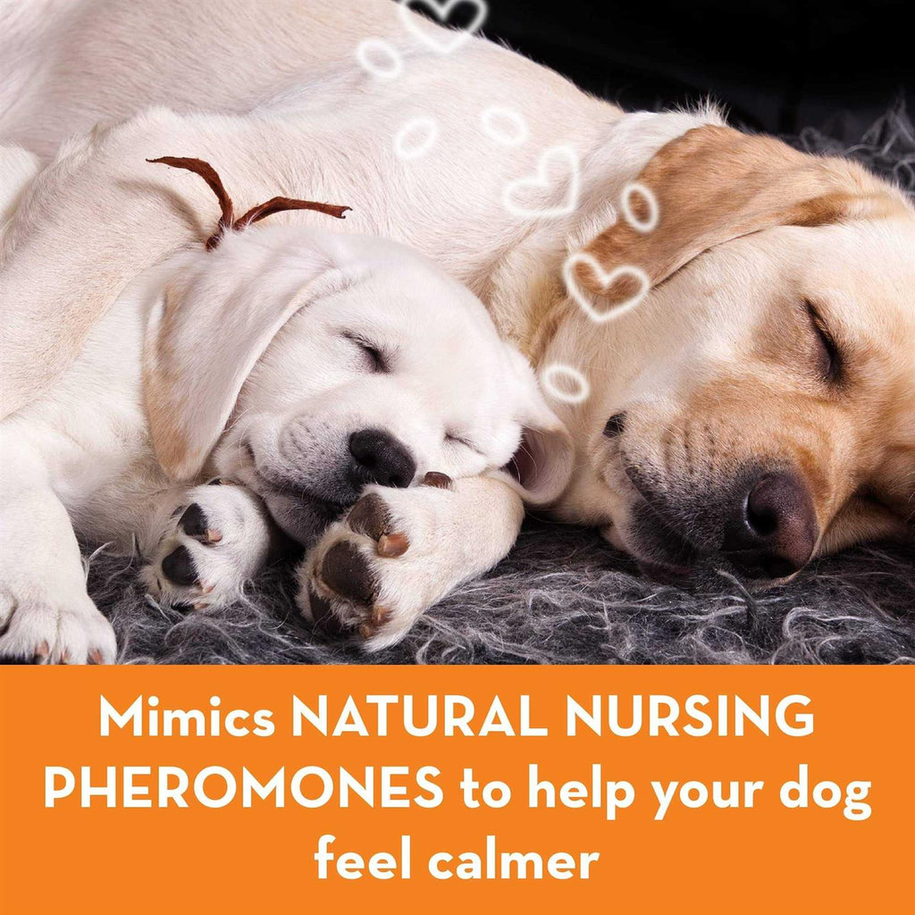 Calming Diffuser Kit Dog V678931
