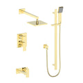Polished Gold Shower System Q964