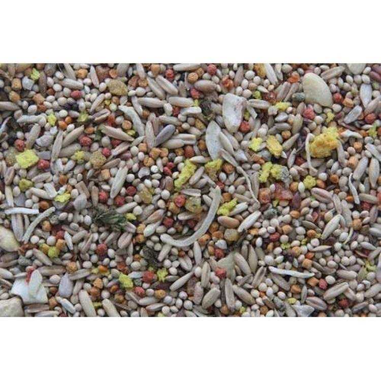 Sunburst Gourmet Blend Parakeet Food M2546