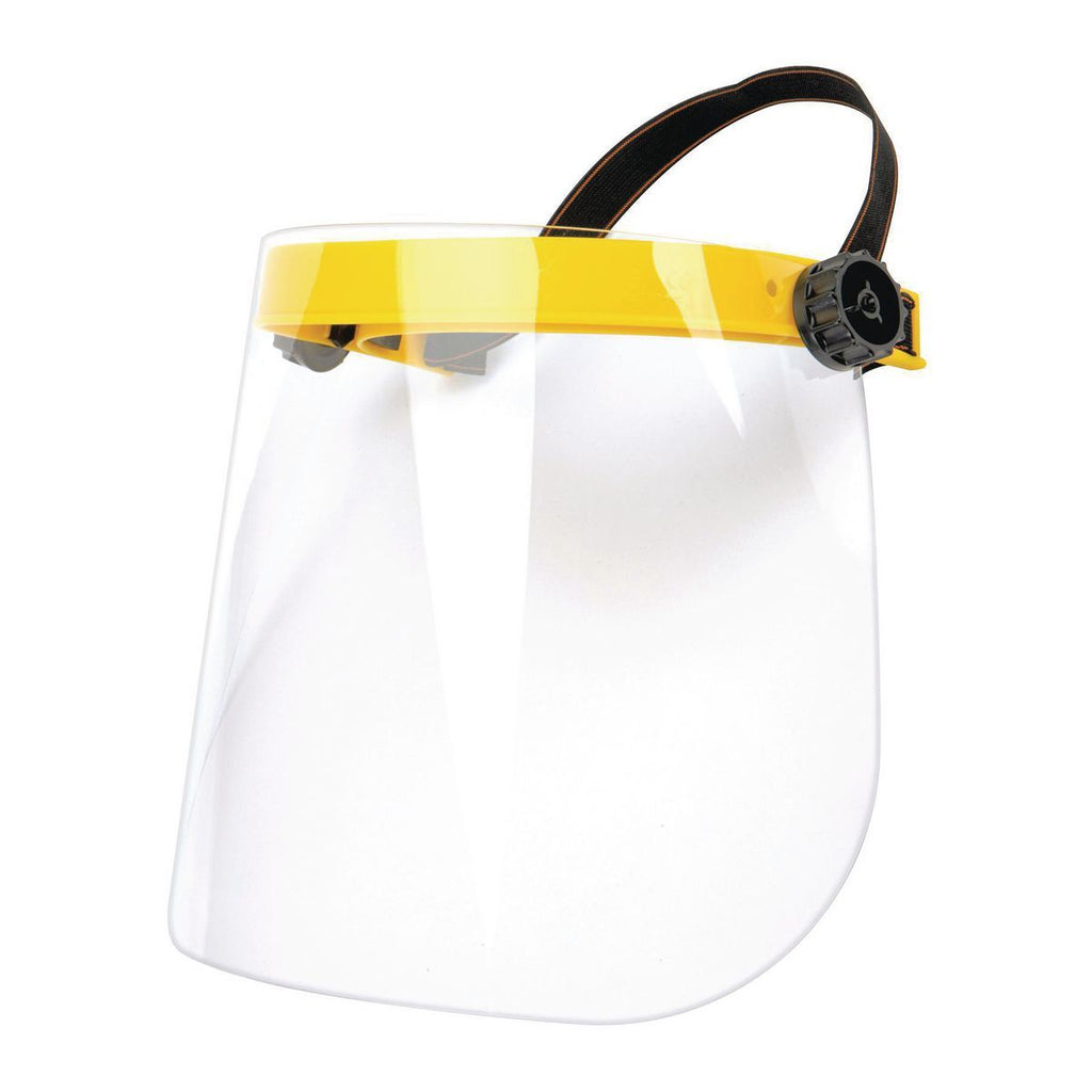 Face Shield with Flip-Up Visor D828948