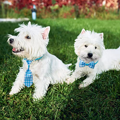 100 Pieces Dog Bow Tie Collar Set B4880