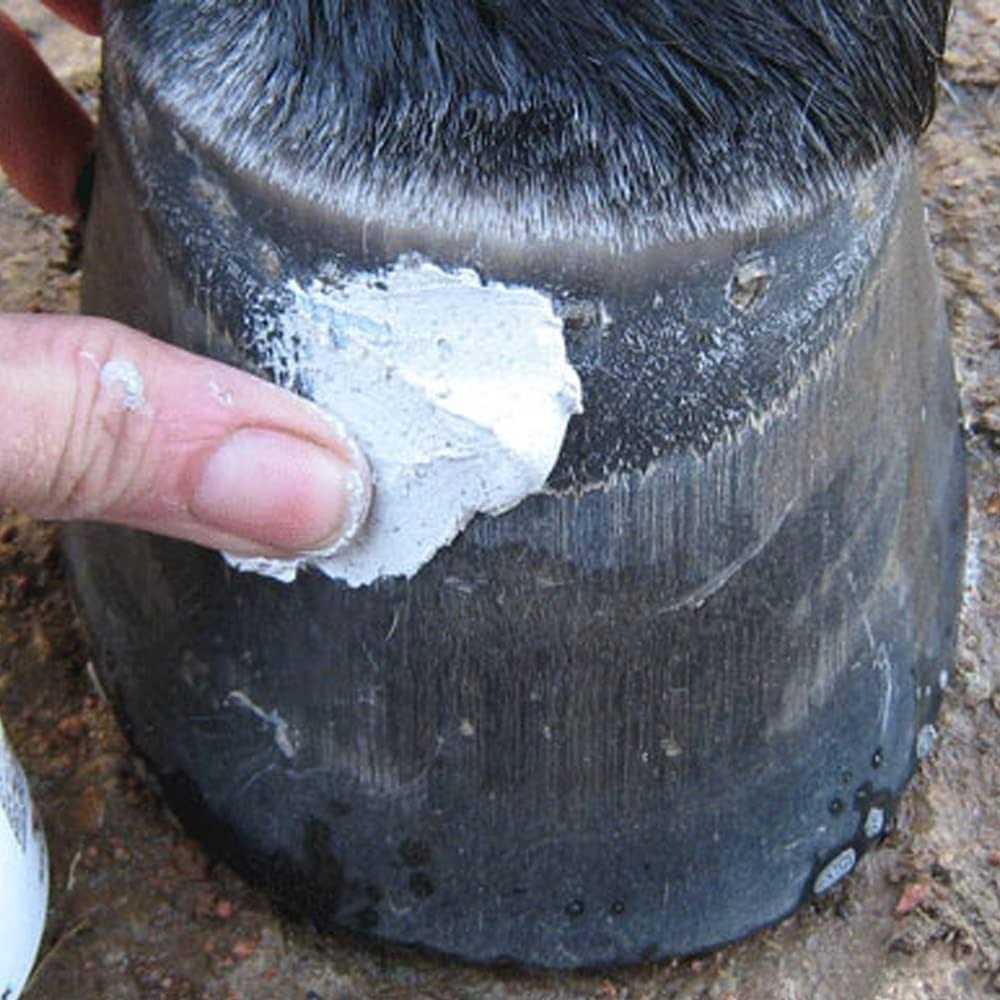 Hoof Clay 750g N246