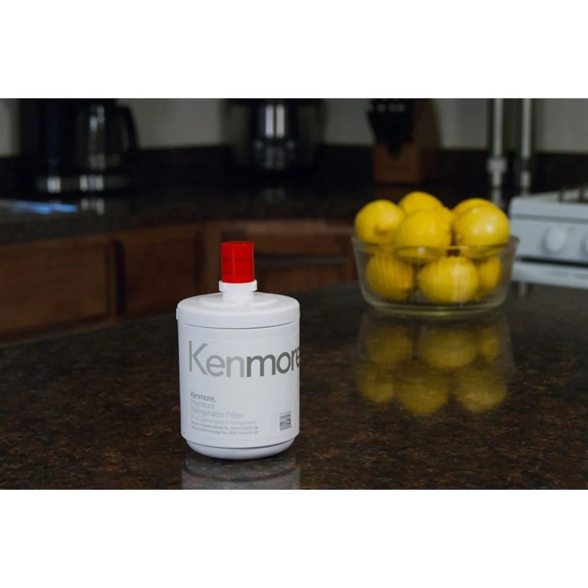3 Count Refrigerator Water Filter R81676