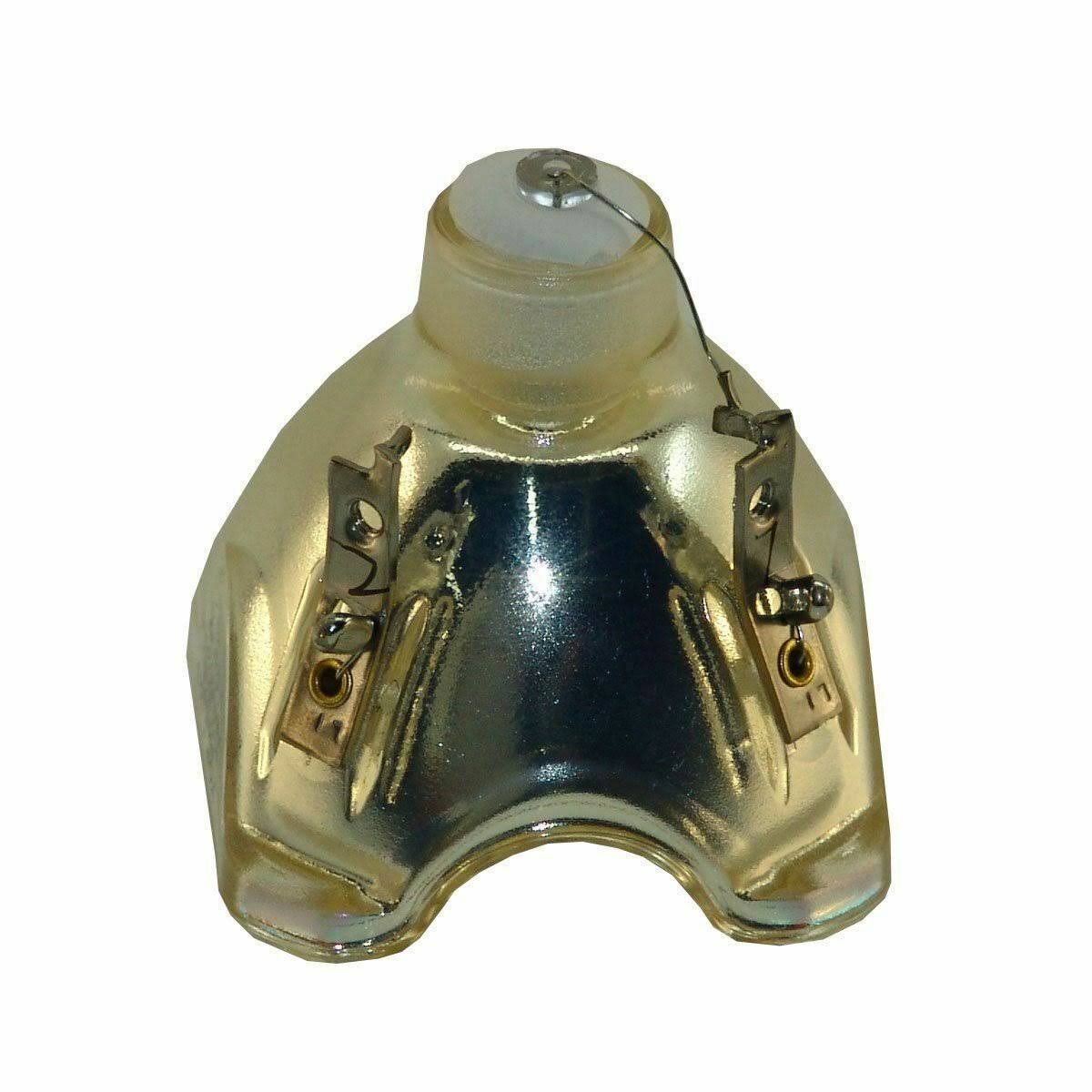 Projector Bare Lamp T73642