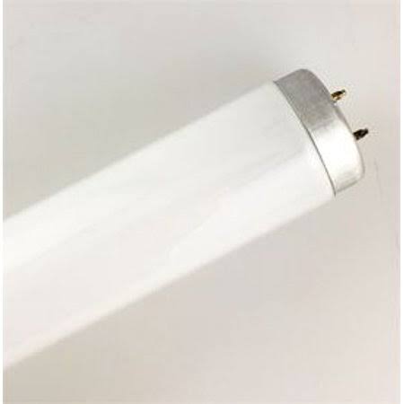 40W Replacement Bulbs B16939