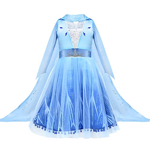 10Pcs Princess Costume Dress with Accessories E259