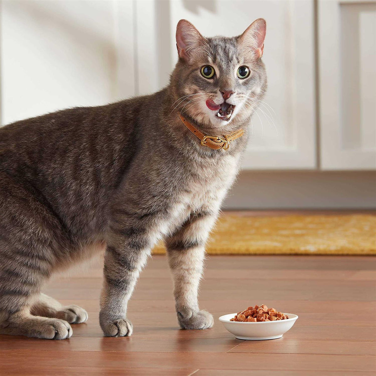 Real Salmon & Crab in Sauce Wet Cat Food R7638