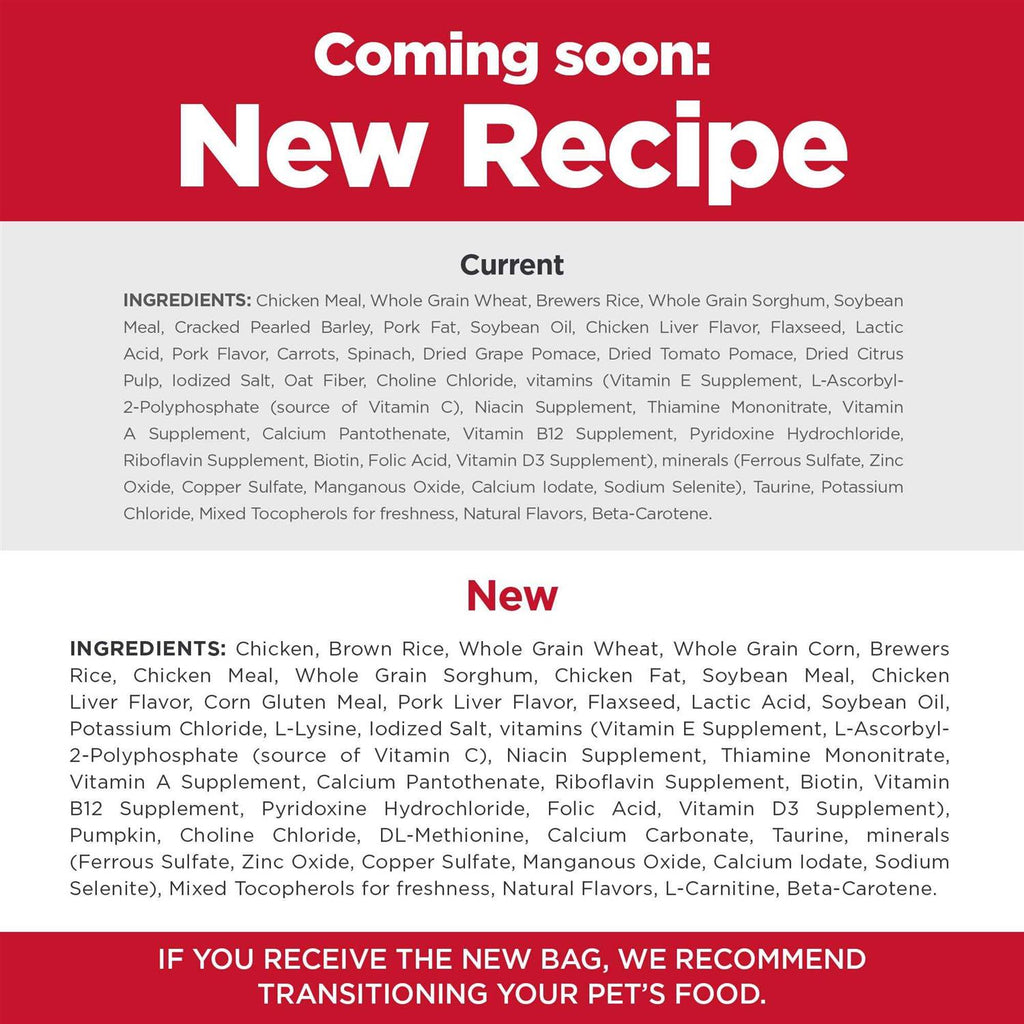Dry Dog Food T929982