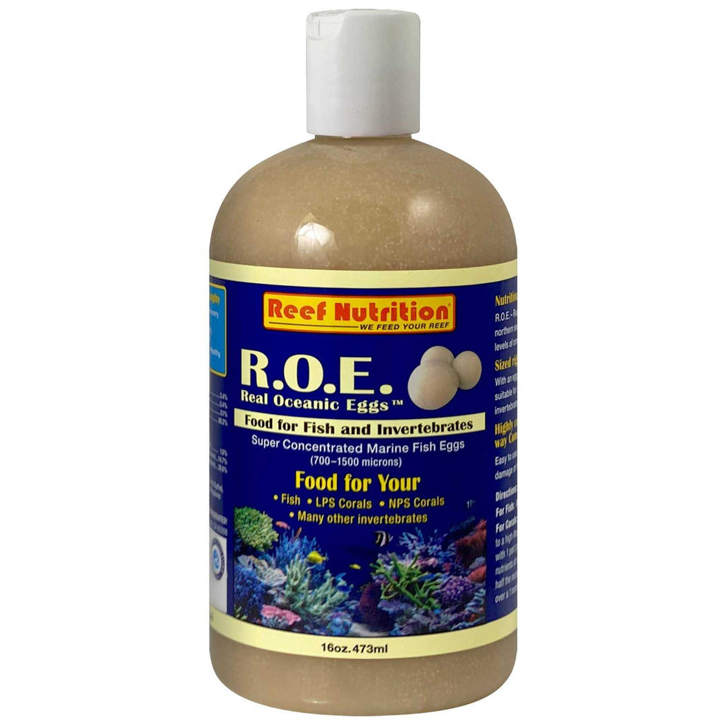 Real Oceanic Eggs Z933485