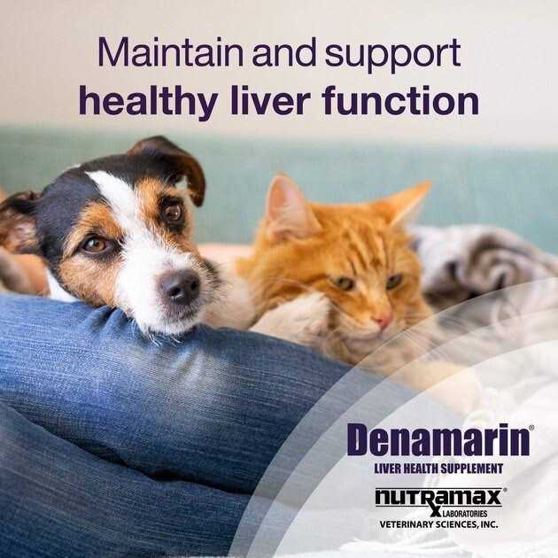 Liver Health Tablets Dogs Y70254