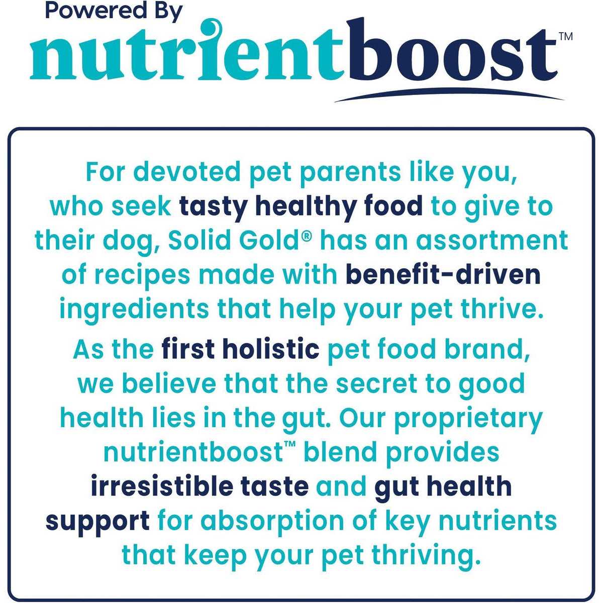 Grain-Free Beef Dry Dog Food E667402