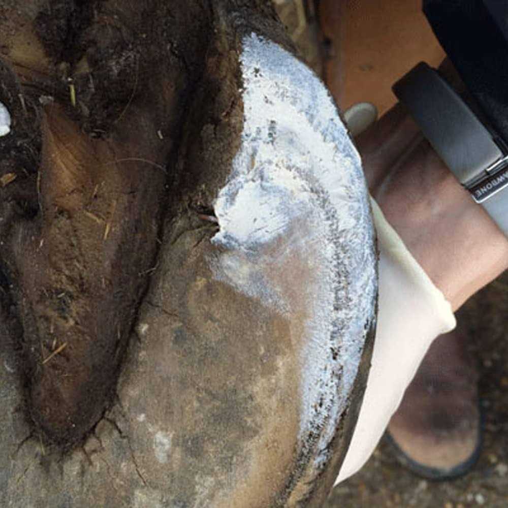 Hoof Clay 750g N246