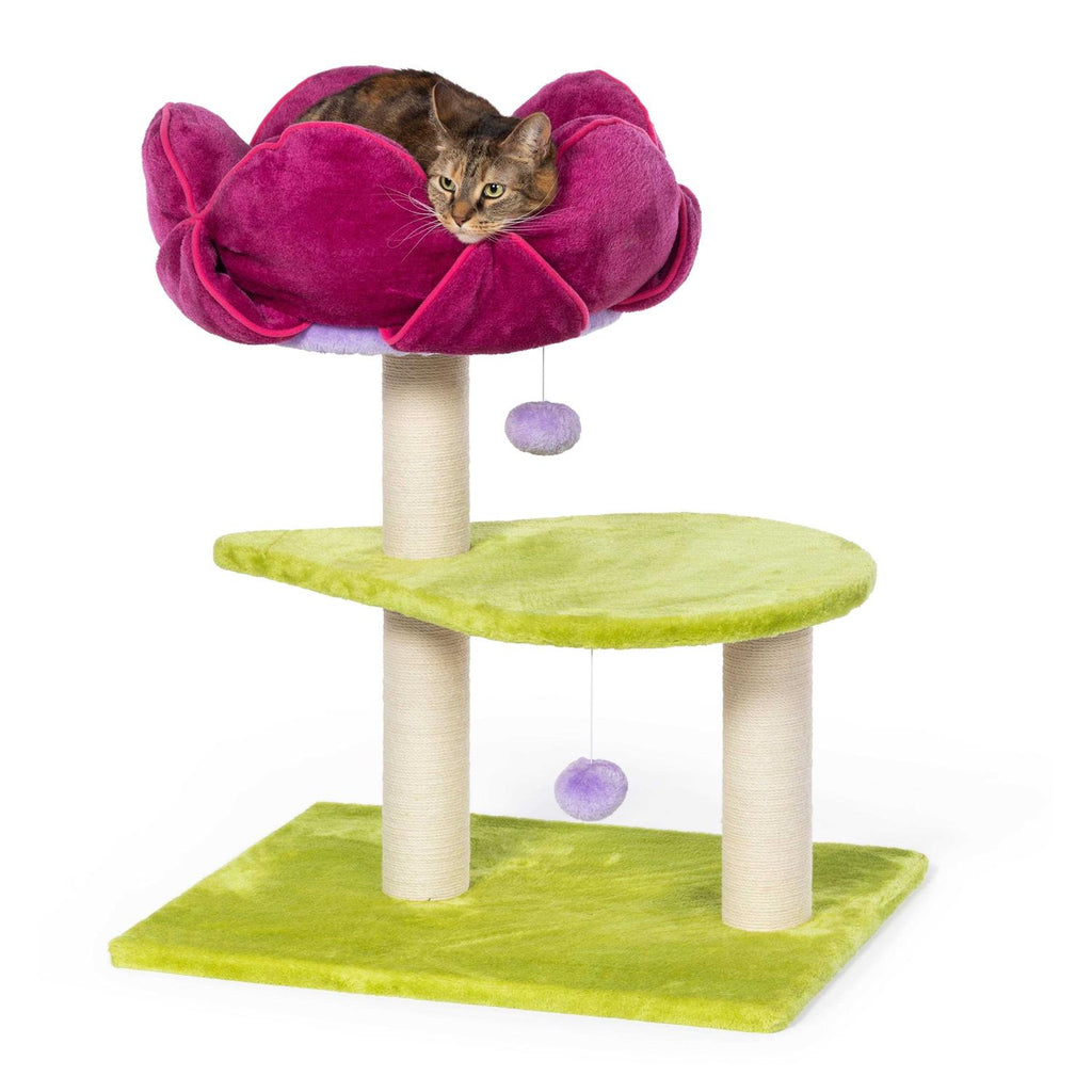 Pet Supplies M938638
